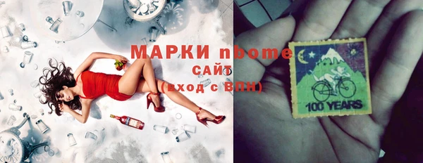 молекула духа Щигры