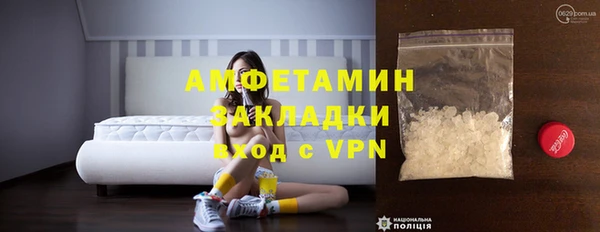 молекула духа Щигры