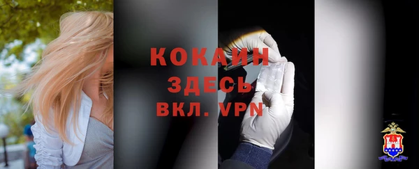 ПСИЛОЦИБИНОВЫЕ ГРИБЫ Лихославль