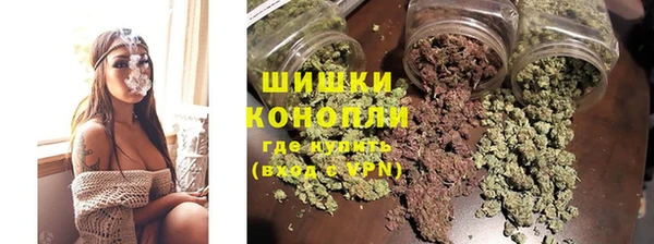 ПСИЛОЦИБИНОВЫЕ ГРИБЫ Лихославль