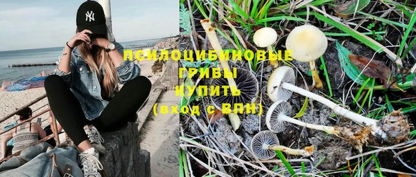 спиды Липки
