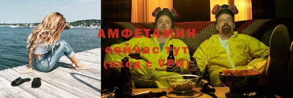 молекула духа Щигры