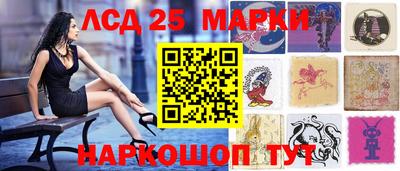 гидропоника Камышлов