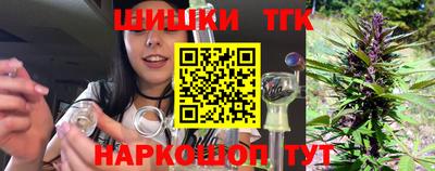 гидропоника Камышлов