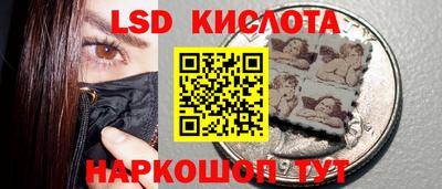 гидропоника Камышлов