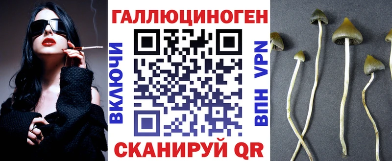 Галлюциногенные грибы мицелий  магазин продажи наркотиков  Оренбург 