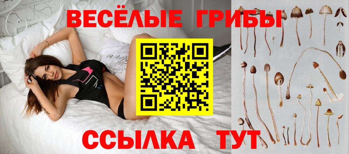 купить наркотик  Галлюциногенные грибы MAGIC MUSHROOMS  Вход с VPN  Оренбург 